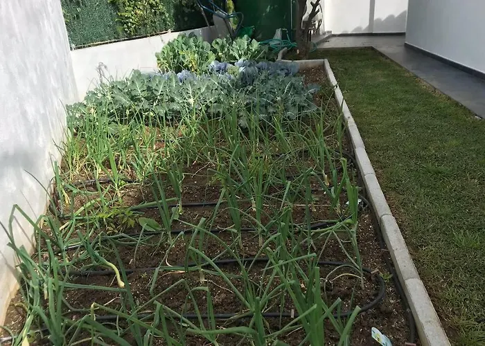 Prázdninový dům Hoyo 19 Marbella
